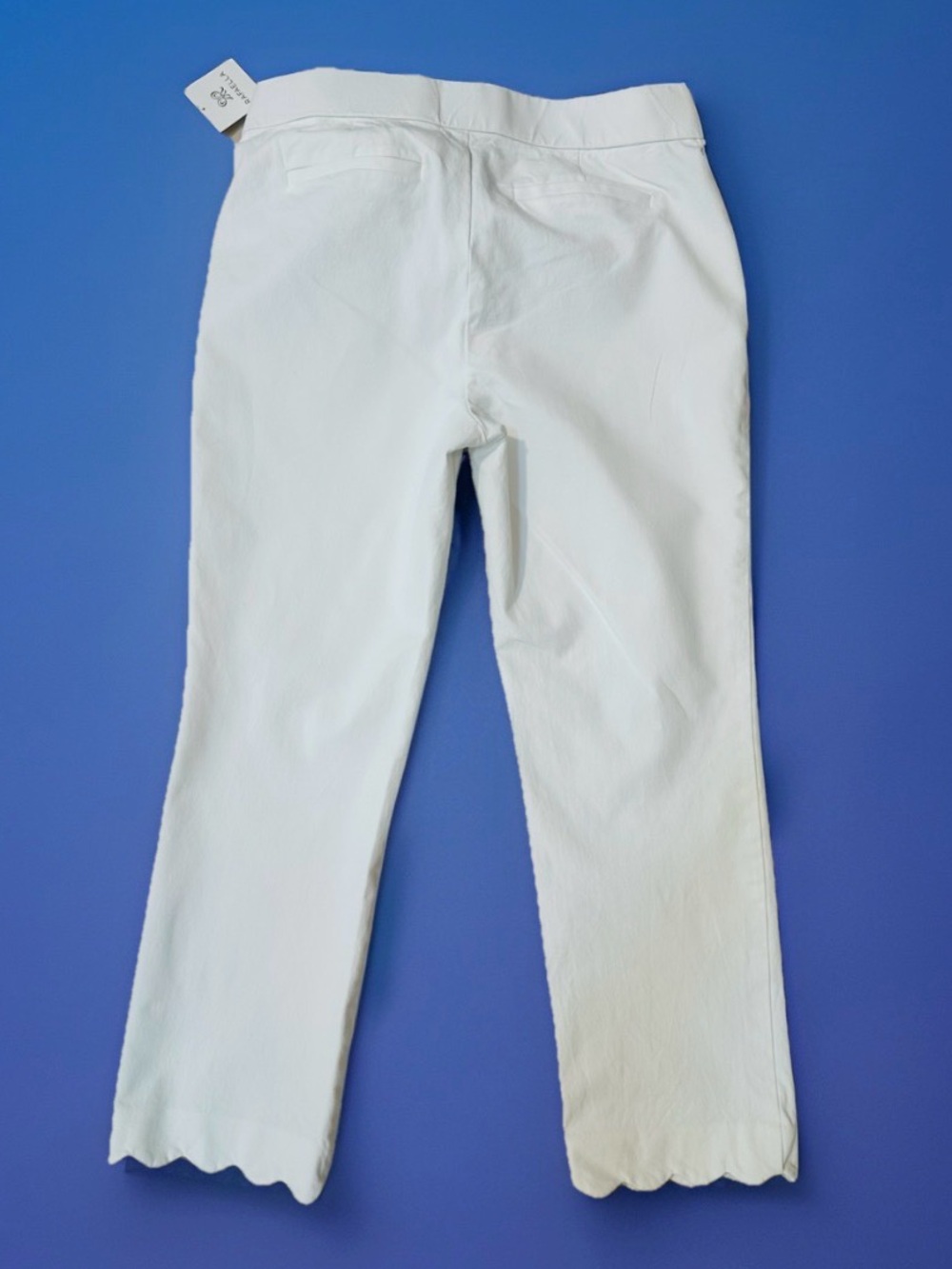 Rafaella NWT Classic Crisp White Scalloped Hem Pants 8 Elevated Minimalism - Picture 3 of 11